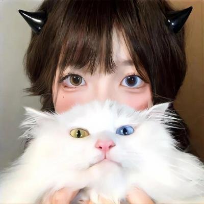 智勇双探